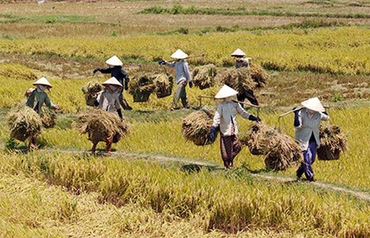 Hotspot Matrix: Biến 4 kiểu áo không thể thiếu thành cơ hội marketing đột phá