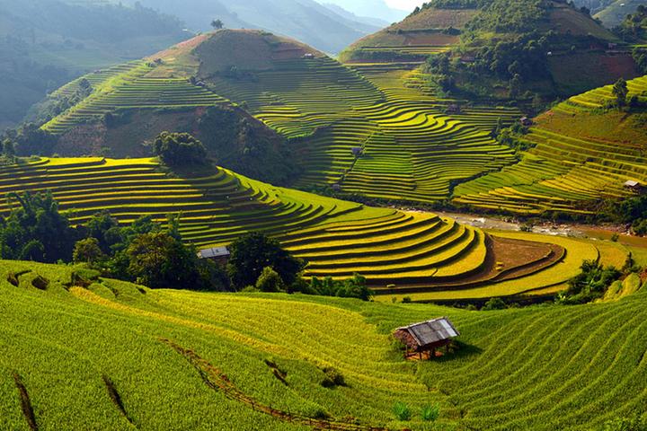 Trong những năm gần đây, xu hướng về thể thao và sức khỏe ngày càng trở nên