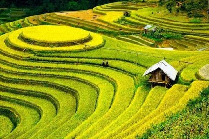 Từ Khuyết Tật Đến Triệu View: Câu Chuyện Cảm Hứng Của Tuấn Anh