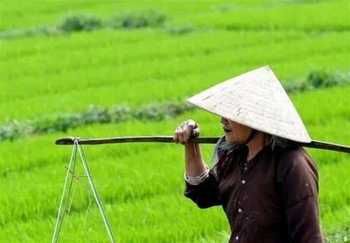 Áo Lưới và Hotspot Matrix: Hợp Tác Nội Dung Video Ngắn Thú Vị