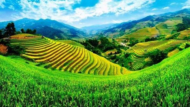 Phòng chật đến đâu giường ngủ - Cảm hứng video marketing từ Hotspot Matrix