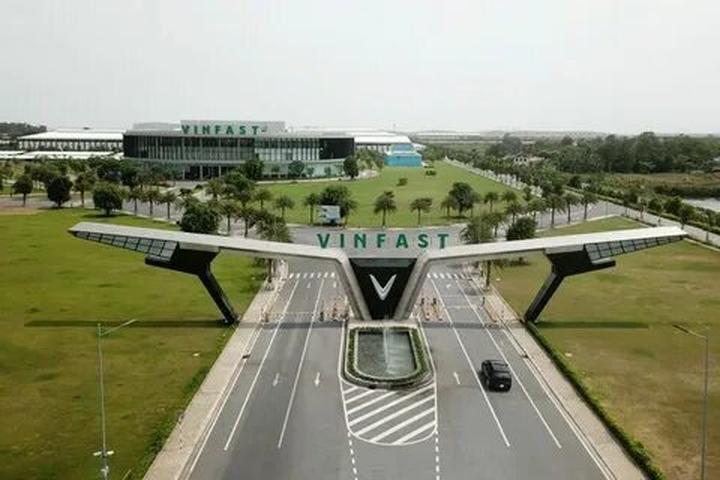 Gỗ và Video: Kết nối nghệ thuật truyền thống với công nghệ hiện đại