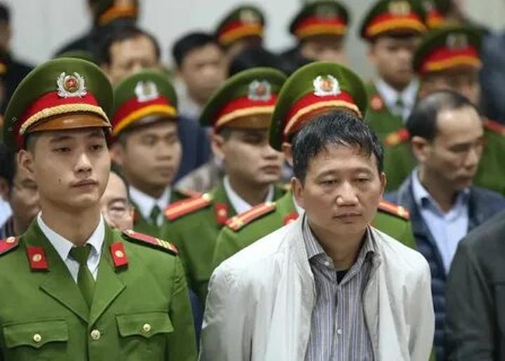 Kích thước to bất thường: Tôm nuôi theo phương pháp tự nhiên sẽ có kích thước không